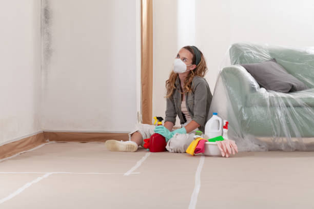 Reliable Mold Remediation contractor in Potomac, MD by Cheap Mold Removal